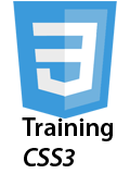 Logo van Training CSS3