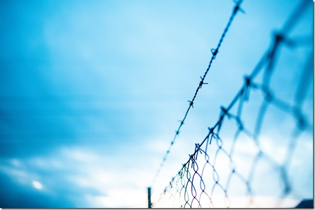 barbed-wire